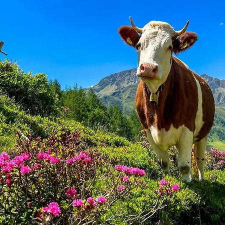 Residenz Апарт-отель