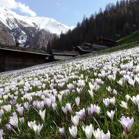Lägenhetshotell Residenz 3*