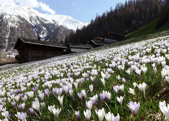 Hotel apartamentowy Residenz 3*